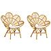 Set Di 2 Sedie Sedia Da Giardino Rattan Beige Florentine - Foto miniatura 3