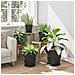 Vaso Rotondo per Fiori 24 pcs Nero Ø 26 x 21.5 cm Plastica - Foto miniatura 4