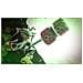 Sonic X Shadow Generations - Foto miniatura 3