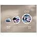 EW7F3D830 Lavatrice Serie 700 SteamCare 8 kg 1600 Giri - Foto miniatura 16