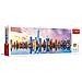 29033 1000pezzo (i) puzzle - Foto miniatura 1