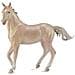 Cavalli: Cavalla Akhal-teke 16 Cm Marrone Chiaro - Foto miniatura 1