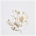 Set Di 2 Cuscini Goldenrod Velluto 45 X 45 Cm Bianco Trama Di Piante - Foto miniatura 13