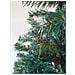 Albero Di Natale 180 Cm Amsterdam, Pino Artificiale, Albero Effetto Reale, Alberello Natalizio Extra Folto, 91x91 H180 Cm, Verde - Foto miniatura 12
