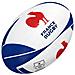Pallone - - Supporter Francia - Foto miniatura 1