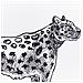 Set Di 2 Cuscini Marula Cotone 45 X 45 Cm Bianco Trama Animale - Foto miniatura 4