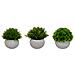Set Di 3 Piante Artificiali, Vaso Grigio, Misura 11 Cm - Foto miniatura 1
