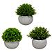 Set Di 3 Piante Artificiali, Vaso Grigio, Misura 11 Cm - Foto miniatura 4