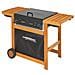 Barbecue a Gas Adelaide 3 Woody Dualgas 14 kW con Carrello Nero / Legno - Foto miniatura 2