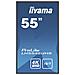 MONITOR IIYAMA 55" 3840x2160 4K UHD IPS PANEL - Foto miniatura 4