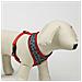 Imbracatura Per Cani Xs Rosso Xxs - Foto miniatura 6