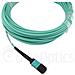 QSRCABLE1M cavo InfiniBand e in fibra ottica 1 m MPO Colore acqua - Foto miniatura 6