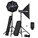Kit D-LITE RX 4/4 Softbox To Go per Fotocamera Colore Nero - Foto miniatura 1