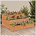 Fioriera Rialzata Giardino Marrone 120x120x56 Cm Massello Abete - Foto miniatura 1