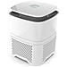 Purificatore D'aria 4 In 1 Con Pre Filtro, Filtro True Hepa, A Carboni Attivi E Con Generatore Di Ioni Negativi. Per Casa E Ufficio, Per Allergie E Polvere. Aree Medio-piccole (cadr 42m³ / h)  - Foto miniatura 1