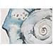 Quadro Home Esprit Mediterraneo Conchiglia 55 X 2,5 X 70 Cm (4 Unità) - Foto miniatura 4