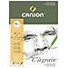 Canson C Un Disegno Grano 125gsm Leggero Carta Grana Fine Tessitura A3 Pad Tra Cui 30 Fogli - Foto miniatura 1