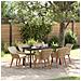 Set da Pranzo per Giardino 7 Pezzi Beige in Polyrattan - Foto miniatura 2
