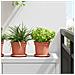 Vaso Rotondo per Fiori 6 pcs Rosso Mattone Ø 15 x 12 cm - Foto miniatura 2