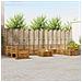 Set divani 11 pcs Naturale Legno di Acacia Massello - Foto miniatura 2