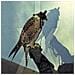 Iceage - You're Nothing - Foto miniatura 1