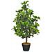 Albero Di Alloro Artificiale Con Vaso Verde 90 Cm - Foto miniatura 1