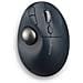 Pro Fit Ergo TB550 mouse Mano destra RF senza fili + Bluetooth Trackball 1600 DPI - Foto miniatura 1