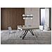 Tavolo allungabile 90x160/264 cm Terium cashmere gambe antracite - Foto miniatura 2