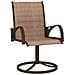Sedie Girevoli Da Giardino 2pz Textilene E Acciaio Marrone - Foto miniatura 2