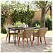 Set da Pranzo per Giardino Beige in Rattan Polietilene - Foto miniatura 2