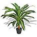 Dracena Pianta Artificiale Con Vaso 90 Cm Verde - Foto miniatura 1