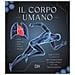 Jane De Burgh - Il corpo umano. Una guida completa per comprendere il corpo umano e il suo funzionamento - Foto miniatura 1