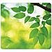 Mousepad Earth Series Fantasia Foglie - Foto miniatura 2