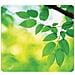 Mousepad Earth Series Fantasia Foglie - Foto miniatura 1