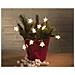 Star Light - Spirito Natalizio - Luce Calda - 10 Stelle Led - 1 M - 71318 - Foto miniatura 3