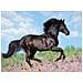 Puzzle Black Stallion 200 pz 49 x 36 cm 12803 - Foto miniatura 2