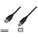 Cavo Usb 2.0 Connettori 1 X A Maschio - 1 X B Maschio Mt. 5 Colore Nero - Foto miniatura 3