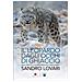 Sandro Lovari - Il Leopardo Dagli Occhi Di Ghiaccio. Sulle Tracce Di Grandi Carnivori E Altri Animali - Foto miniatura 1