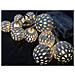 Ghirlanda Luminosa - Palle D'argento - Spirito Natalizio - Luce Calda - 10 Lampadine Led - 2,5 M - 71316 - Foto miniatura 2