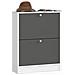 Scarpiera multiuso, 60x20x80 cm, Colore Bianco e Grigio Grafite - Foto miniatura 1