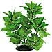 Decorativo Acquario Pianta Hygrophila 30cm - Foto miniatura 1