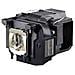ELPLP85 - Lampada proiettore - UHE - 250 Watt - 3500 ora / e (modalità  - Foto miniatura 2