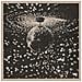 Neil Young - Mirror Ball - Foto miniatura 1