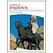 G. Gullino - Storia di Padova. dall'antichità all'età contemporanea - Foto miniatura 1