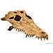 Teschio Di Coccodrillo (crocodile Skull) - Nascondiglio Per Rettili - Foto miniatura 1