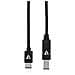 Cavo USB 2.0 USB B / A Maschio / maschio 2 m Colore Nero - Foto miniatura 2