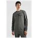 Logo Crew Sweatshirt N2750006-16016, Uomini, Verde, Xs - Foto miniatura 2