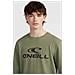 Logo Crew Sweatshirt N2750006-16016, Uomini, Verde, Xs - Foto miniatura 10