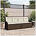 Panchina da giardino con cuscino Marrone Poly Rattan - Foto miniatura 2