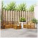 Set divani 6 pcs Naturale Legno di Acacia Massello - Foto miniatura 2